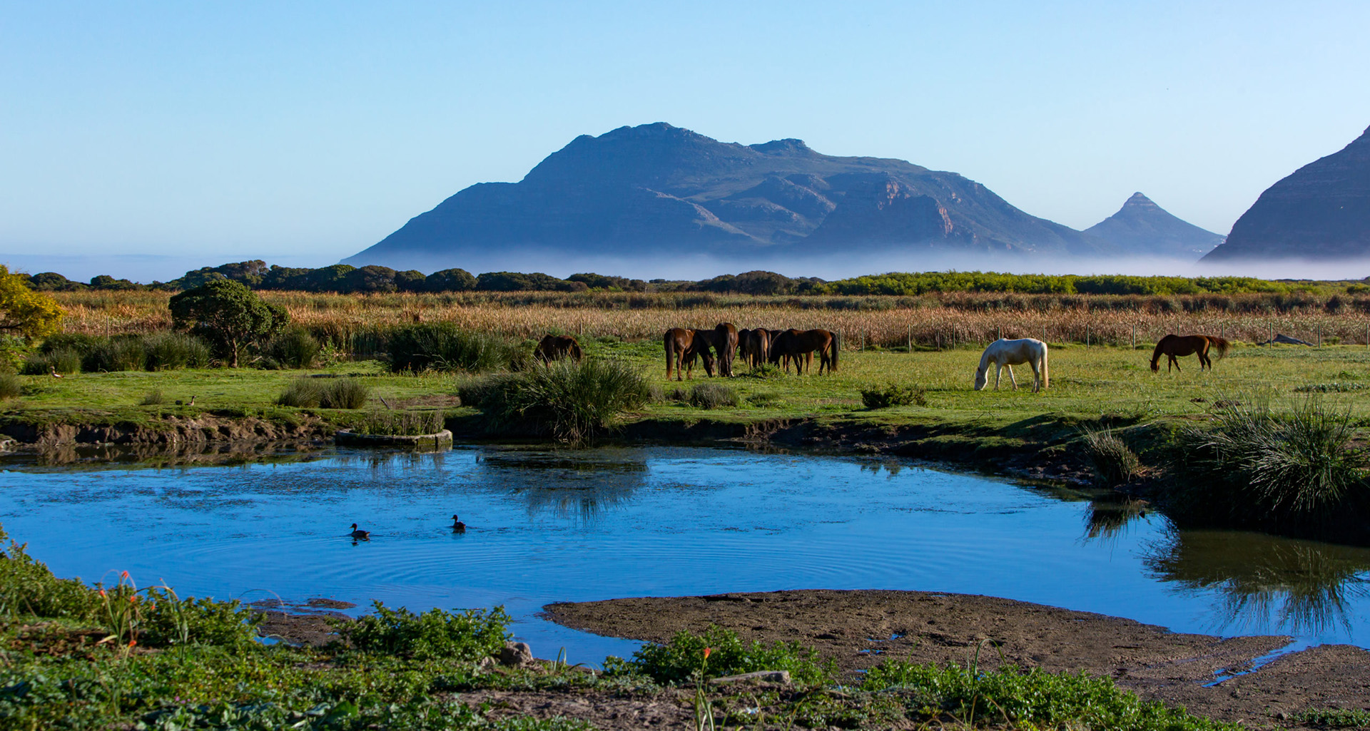 Imhoff Farm - Slider 1 - 1920x1025