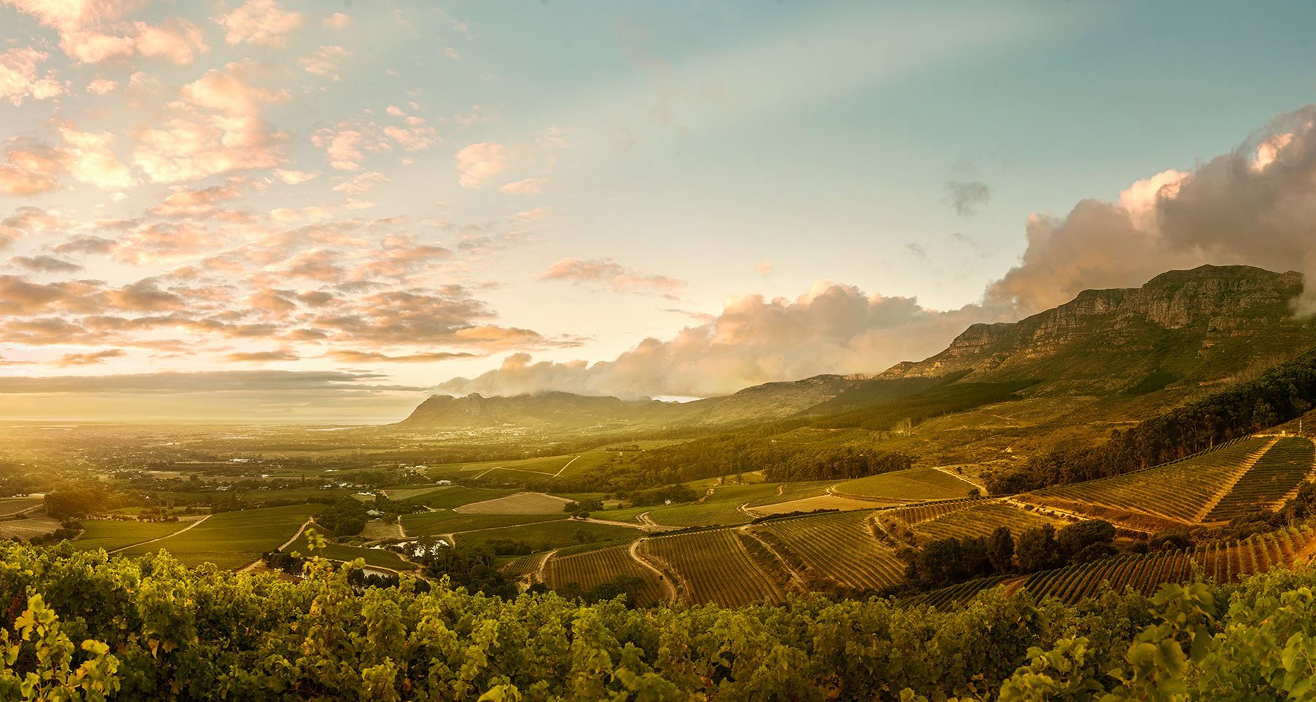 Klein Constantia - Slider 6 - 1920x1025