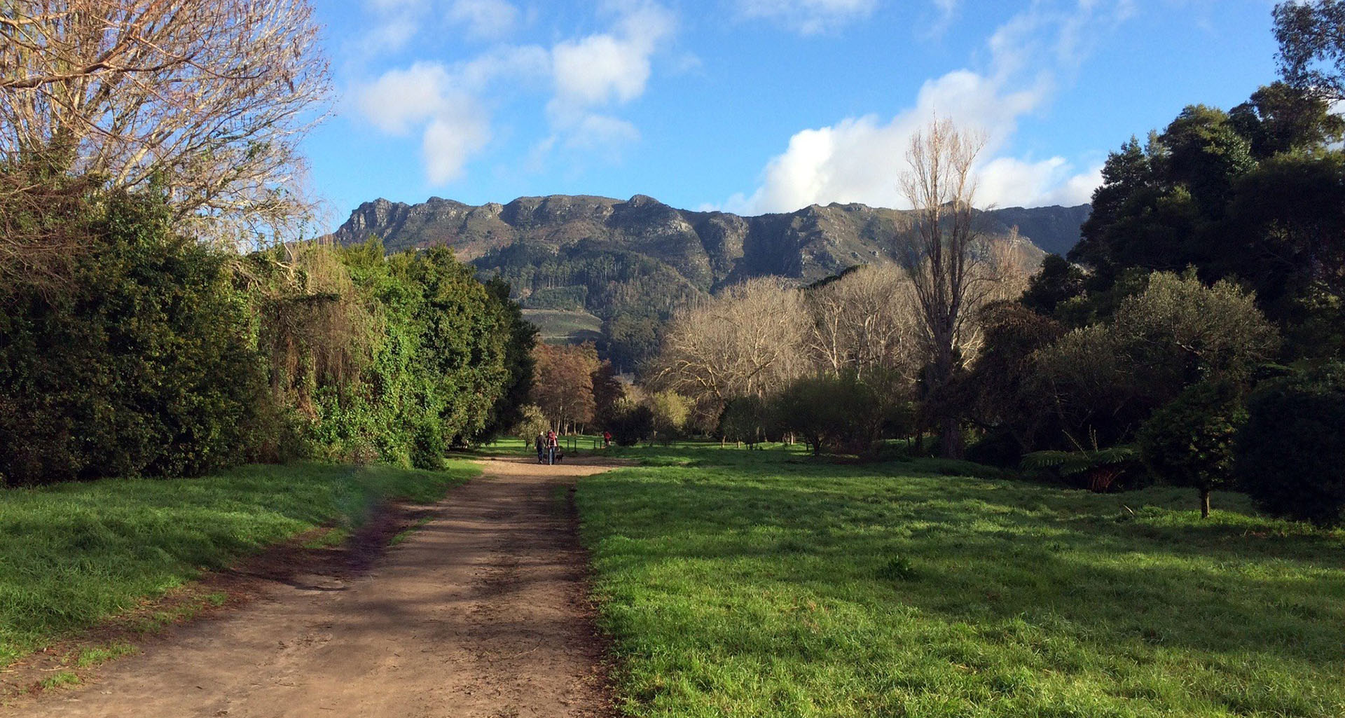 Park Run Constantia - Slider 2 - 1920x1025