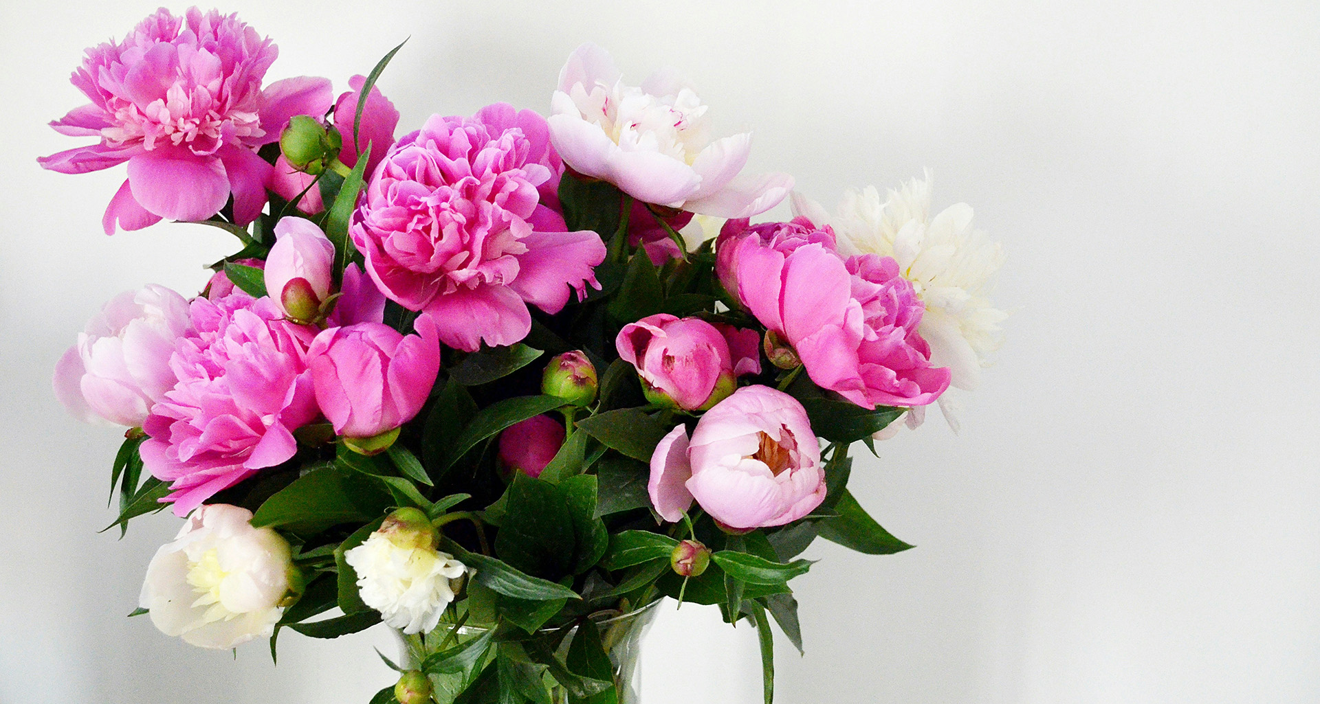 Petal & Post - Slider 3 - 1920x1025