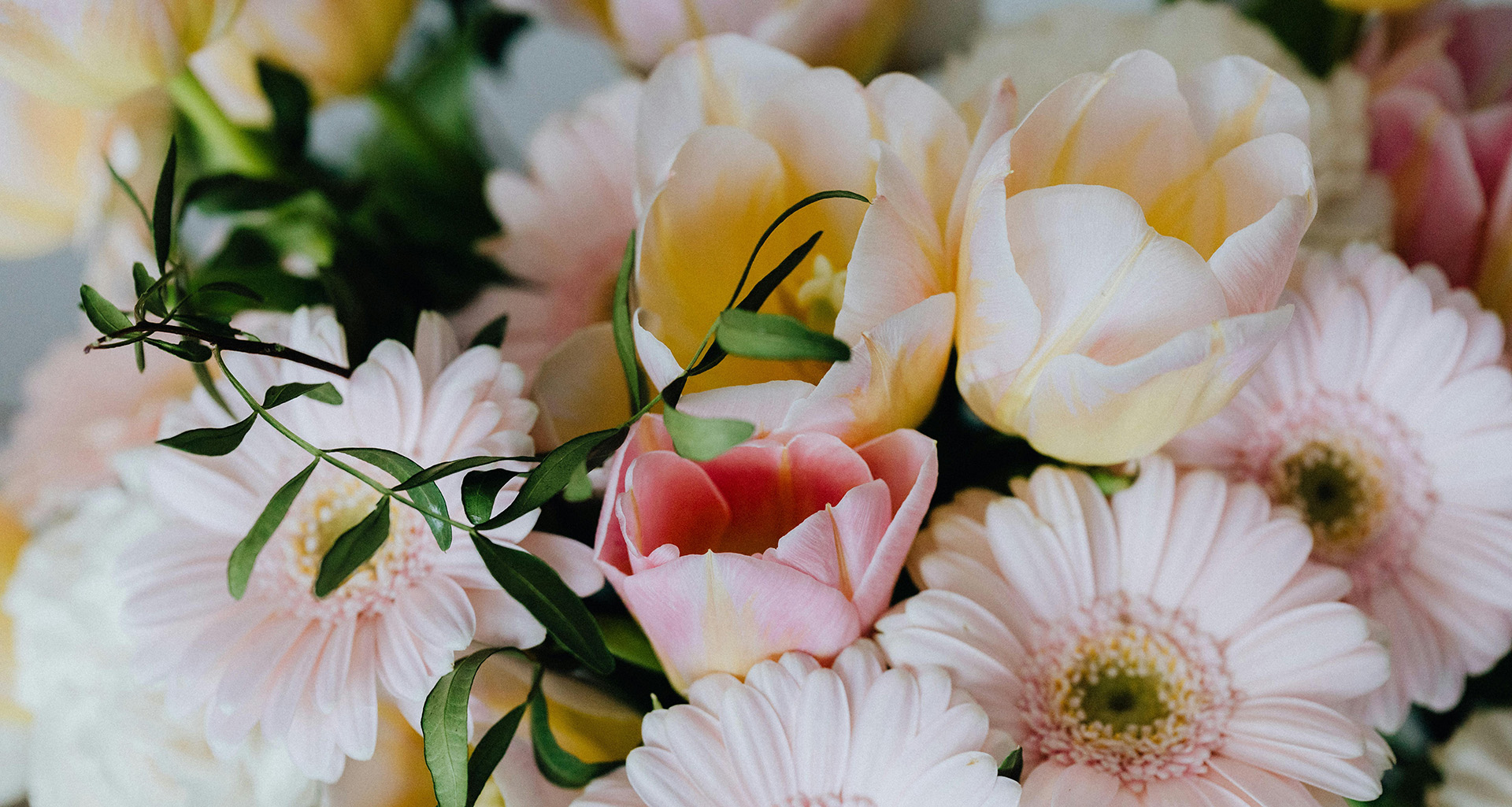 Petal & Post - Slider 4 - 1920x1025