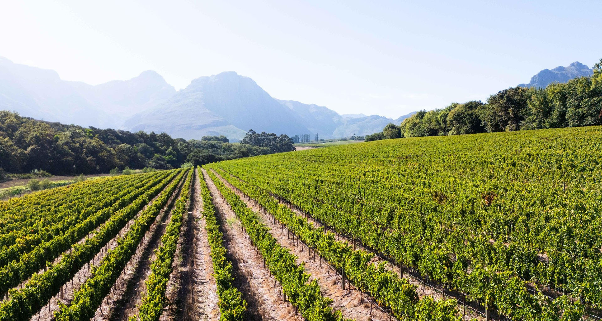 Rust en Vrede - Slider 3 - 1920x1025