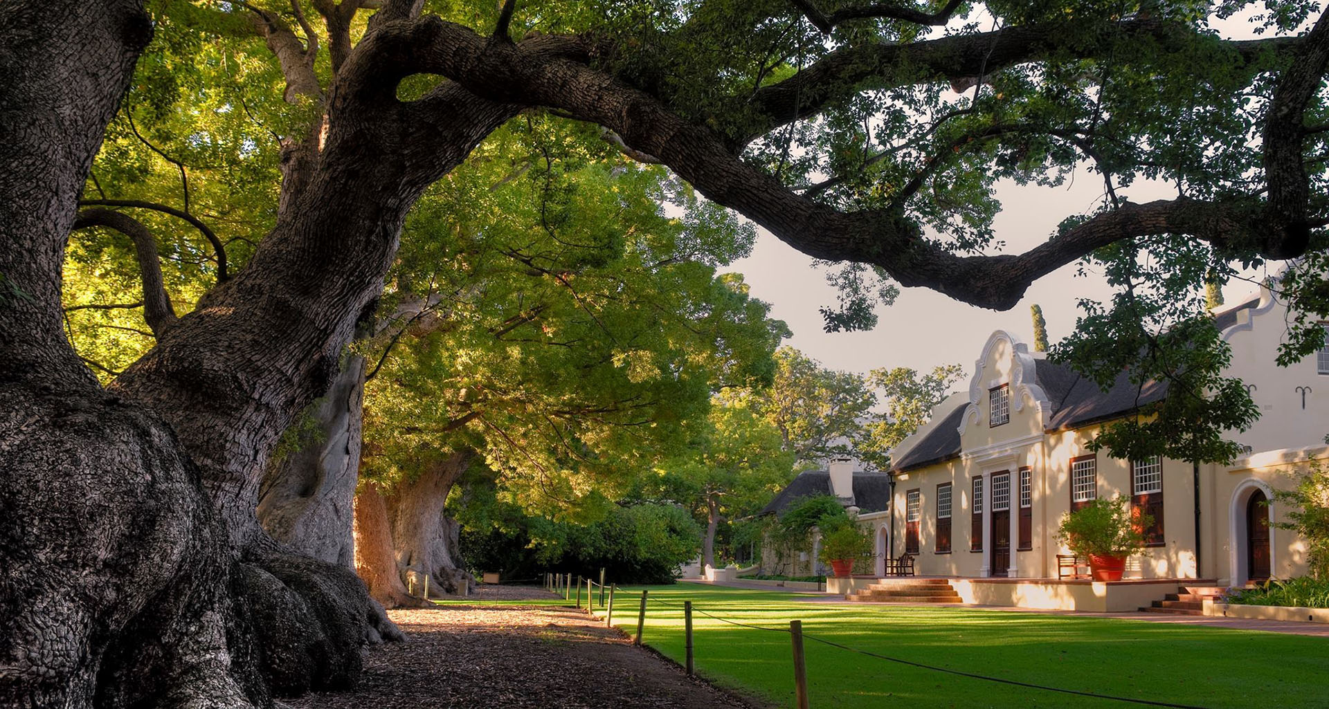 Vergelegen Picnics - Slider 3- 1920x1025