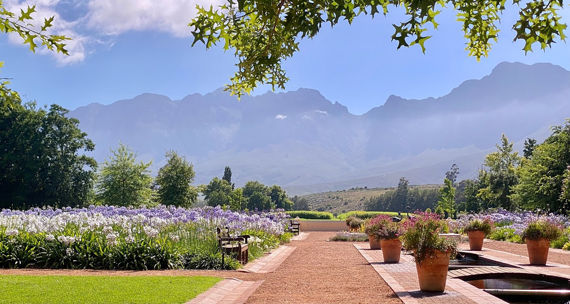 Vergelegen Picnics - Slider 4- 1920x1025