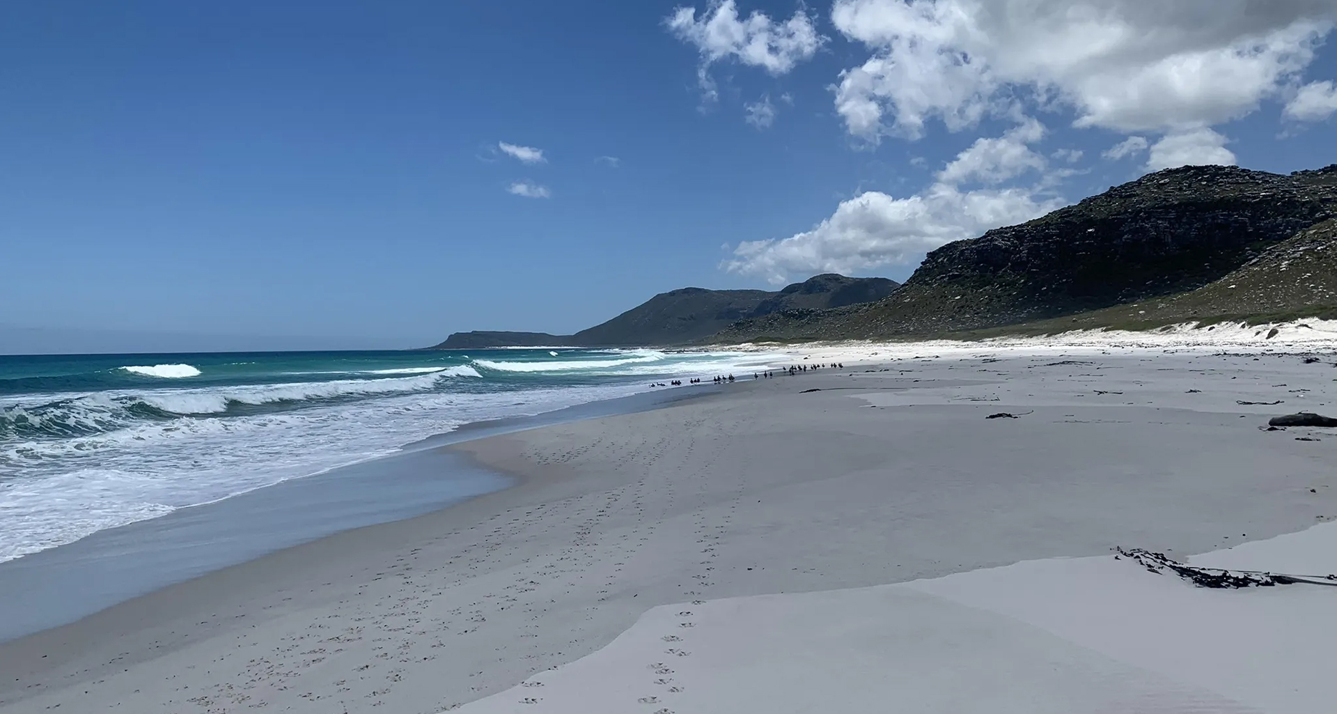 Cape Point Nature Reserve - Slider 5- 1920x1025