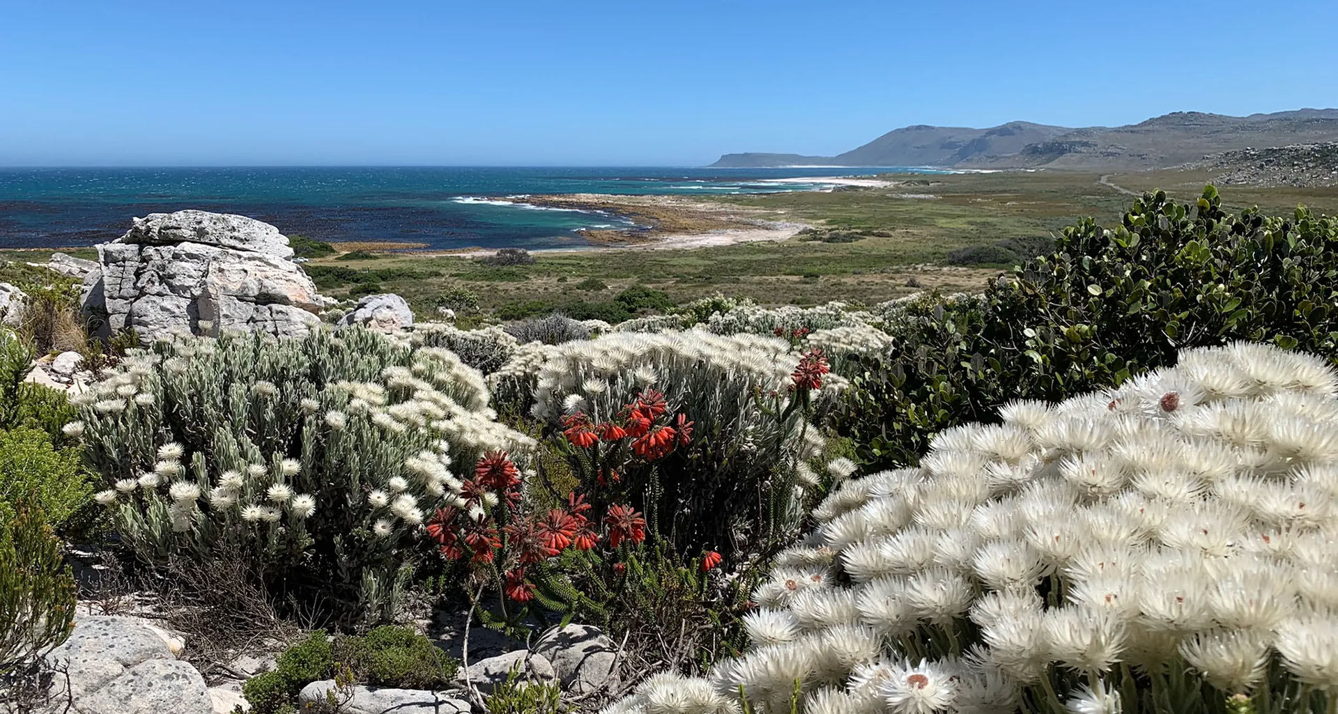 Cape Point Nature Reserve - Slider 7- 1920x1025