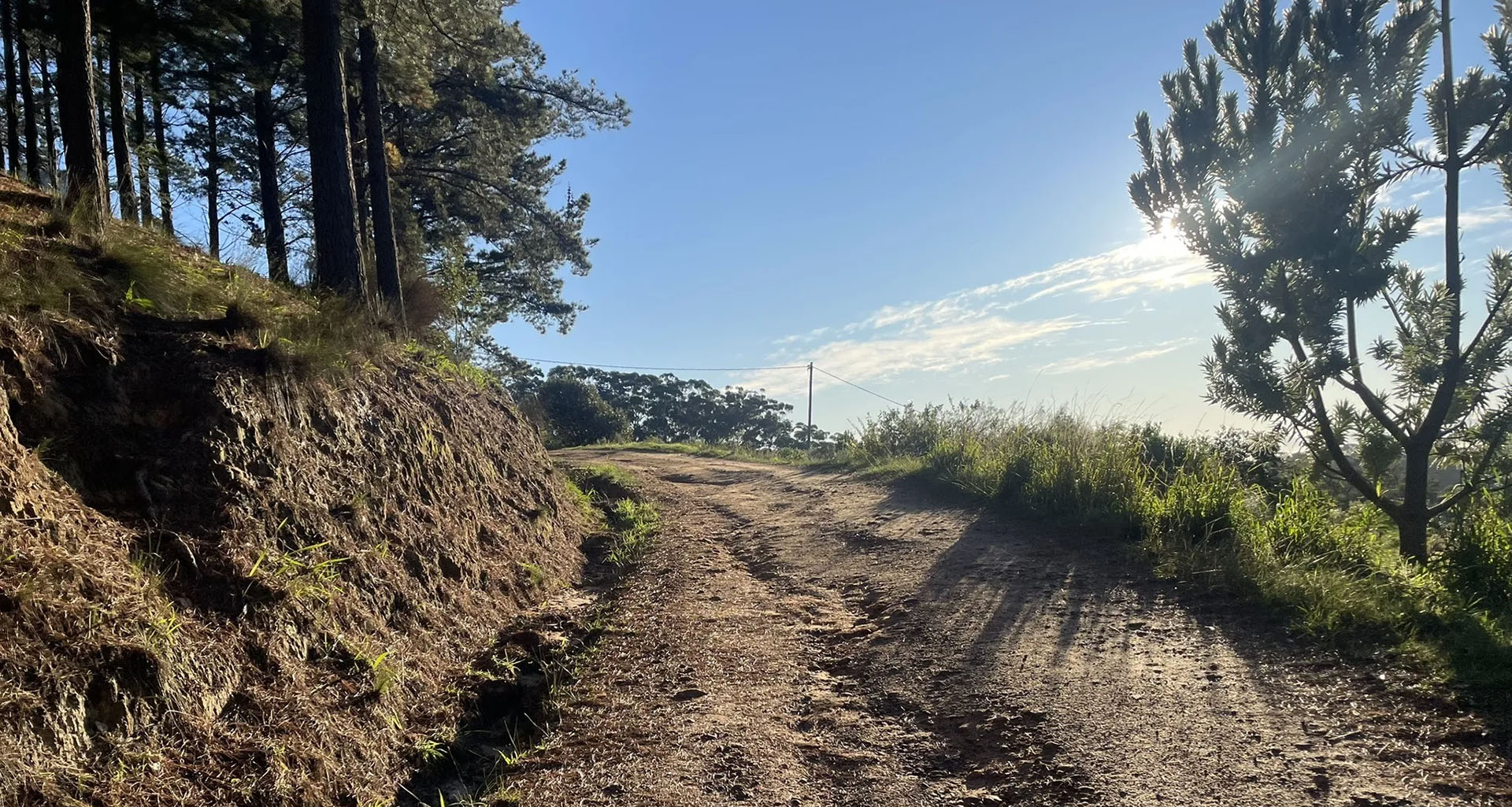 Cecilia forest - Slider 1 - 1920x1025