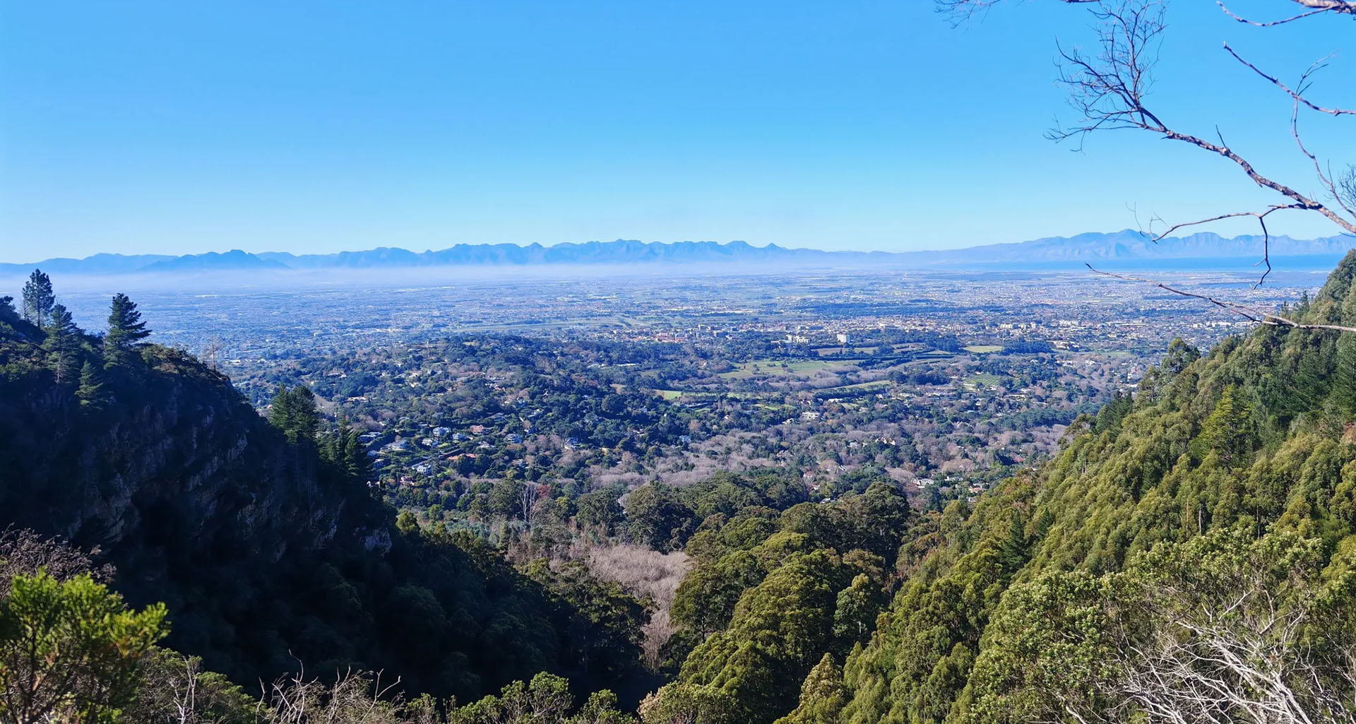 Cecilia forest - Slider 5 - 1920x1025