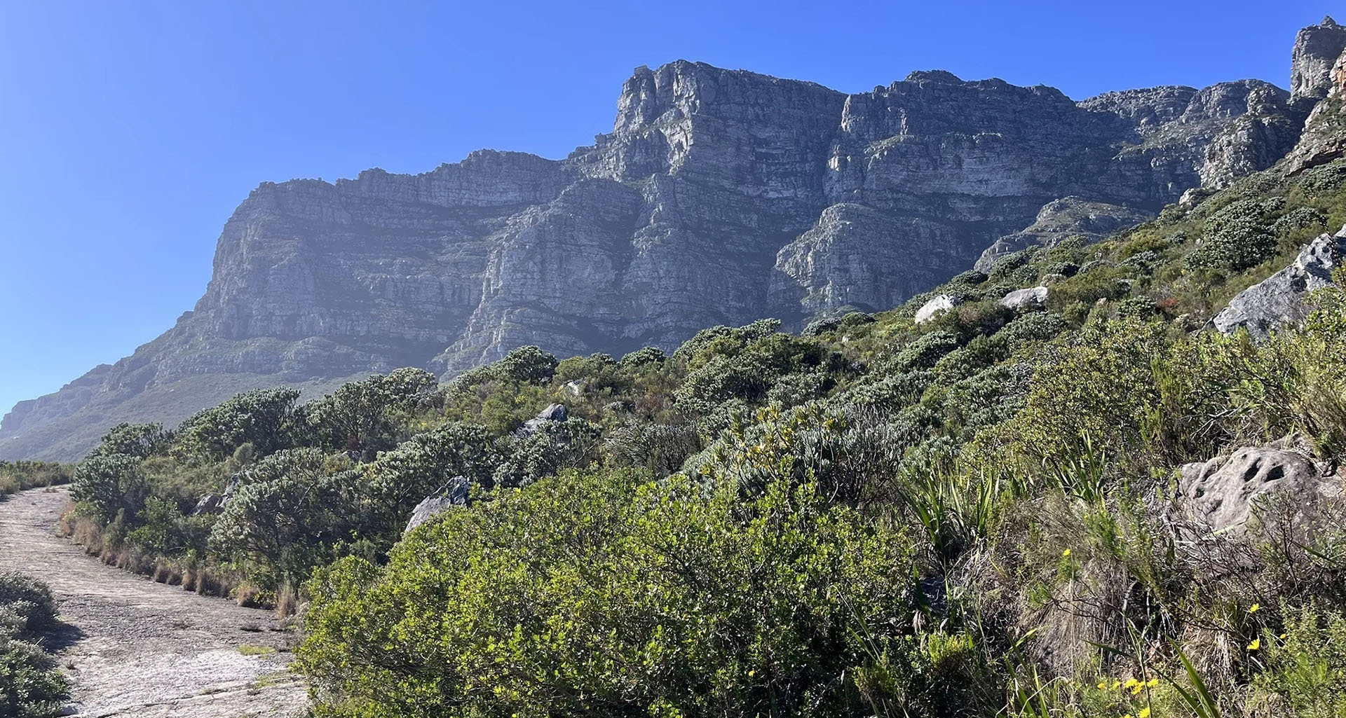 Hiking on a scenic Cape Town mountain trail
