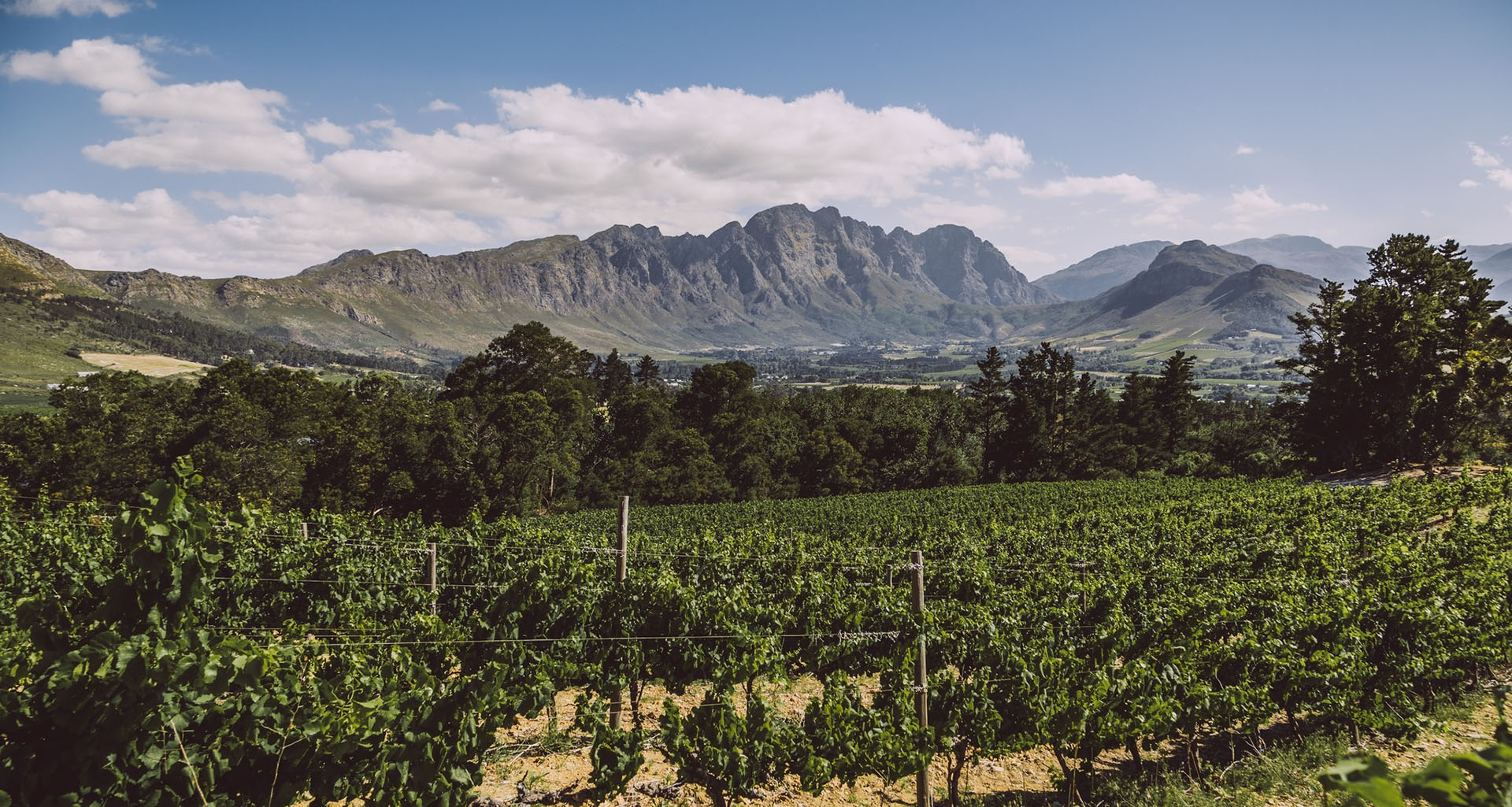 African Eagle - Slider 2 - 1920x1025