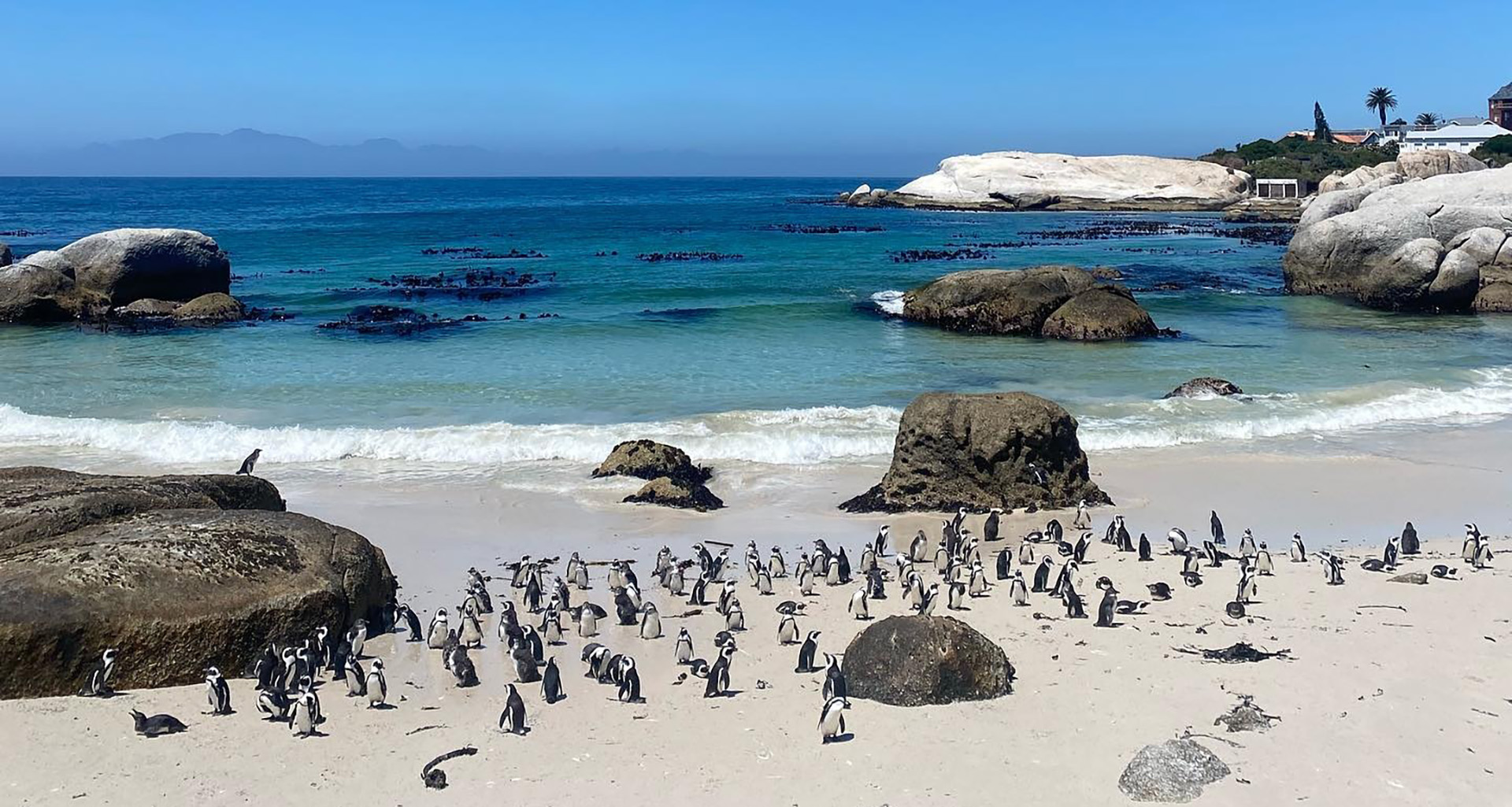 African Eagle - Slider 4 - 1920x1025