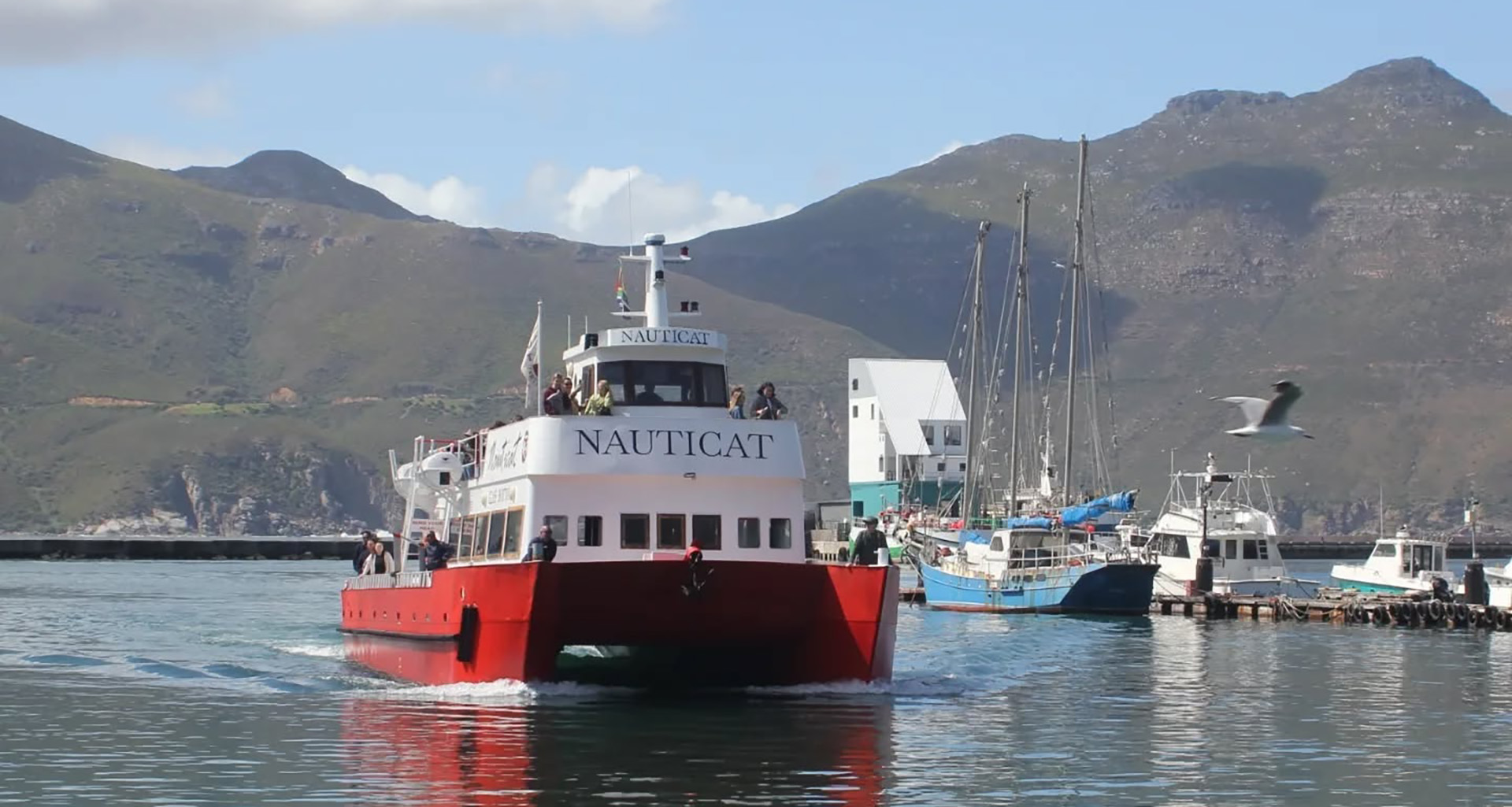 African Eagle - Slider 5 - 1920x1025