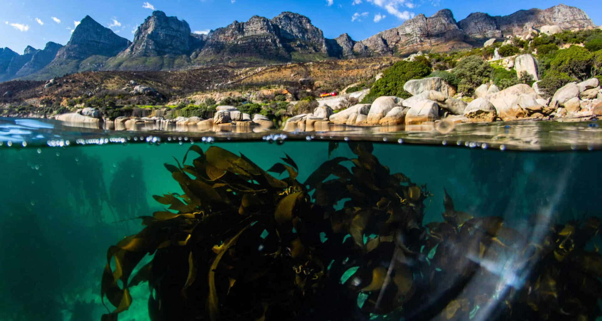 Marine experiences in Cape Town coastal wildlife tours kayaking