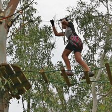 Acrobranch - Banner - 1920x1000