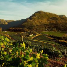 Beau Constantia - Banner 1920 X 1000