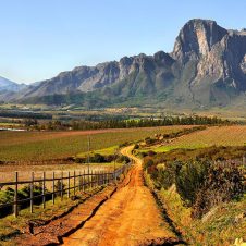 Boschendal - Banner - 1920x1000