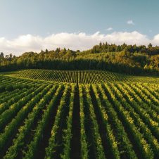 Buitenverwachting - Banner - 1920x1000