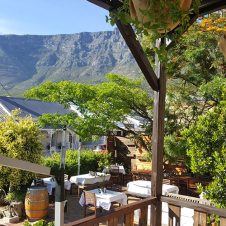 Cafe Paradiso - Feature - 500x500