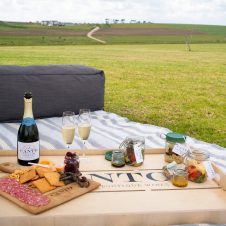 Canto Wines Picnics - Banner - 1920x1000