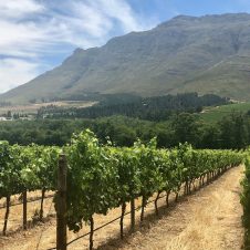 Cape Fusion Tours - Banner - 1920 X 1000