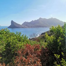 Chapman's Peak Hiking Trail - Feature - 500x500