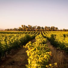 De Grendel - Banner - 1920x1000