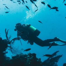 Dive Team - Banner - 1920x1000