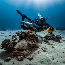 Dive Team - Feature - 500x500