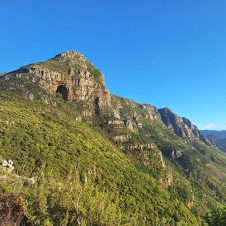 Elephant’s Eye - Feature - 500x500