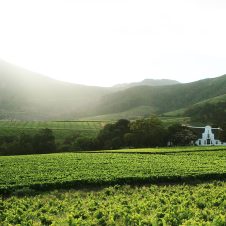 Groot Constantia - Banner - 1920 X 1000