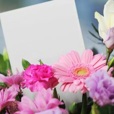 Haliema’s Flowers - Banner - 1920x1000