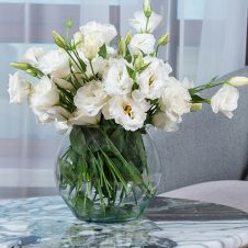 Haliema’s Flowers - Feature - 500x500