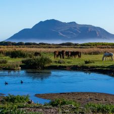 Imhoff Farm - Slider 1 - 1920x1025