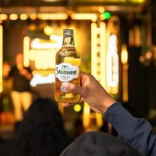 Mojo Market - Banner - 1920x1000