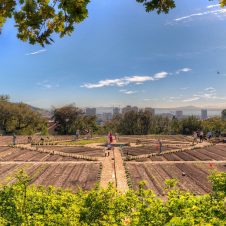 Oranjezicht Market - Banner - 1920x1000