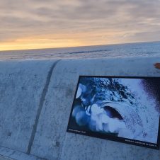 Promenade Sea Point - Banner - 1920x1000