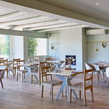 Protégé - Feature - 500x500