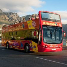 Red Bus Tours - Feature 500 X 500