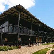 Root44 Market - Banner - 1920x1000