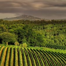 Rust en Vrede - Banner - 1920x1000