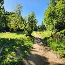 Silverhurst Trail - Feature - 500x500