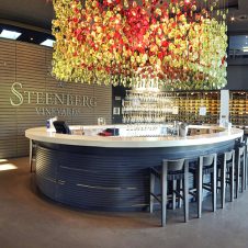 Steenberg - Feature 2 - 500x500