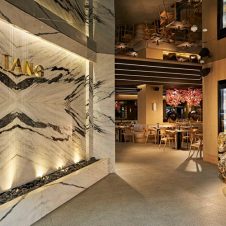 Tang - Feature - 500x500