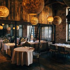 Test Kitchen Fledglings - Feature - 500x500