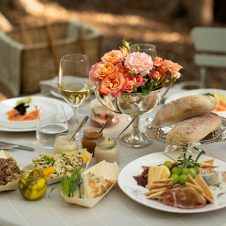 Vergelegen Picnics - Feature - 500x500