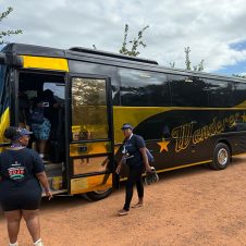 Wanderer - Feature - 500x500