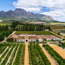 Waterford Estate - Feature - 500x500