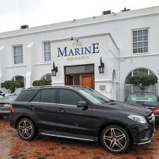 Wolf Shuttles - Feature - 500x500